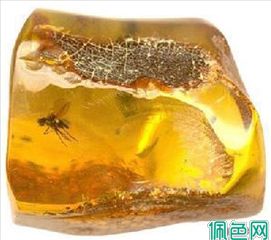 哪种琥珀对人体最好
