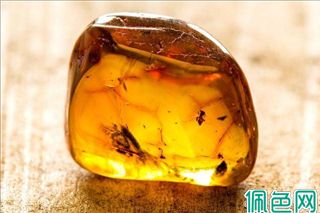 琥珀的成因、分类及真假鉴别？