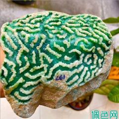 翡翠的形成和由来