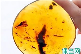 琥珀常见的几种瑕疵，说白了三个字：杂、棉、裂