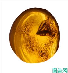 琥珀的“小心呵护”：教你如何正确保养盘玩琥珀饰品